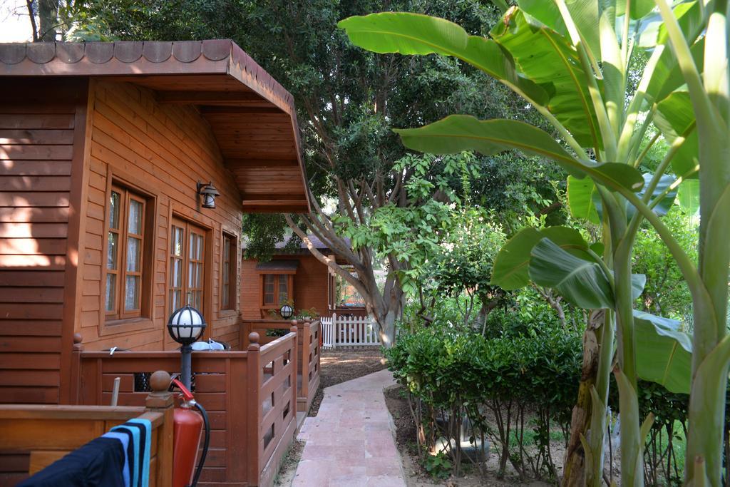 Sevkibey Hotel Alanya Eksteriør billede