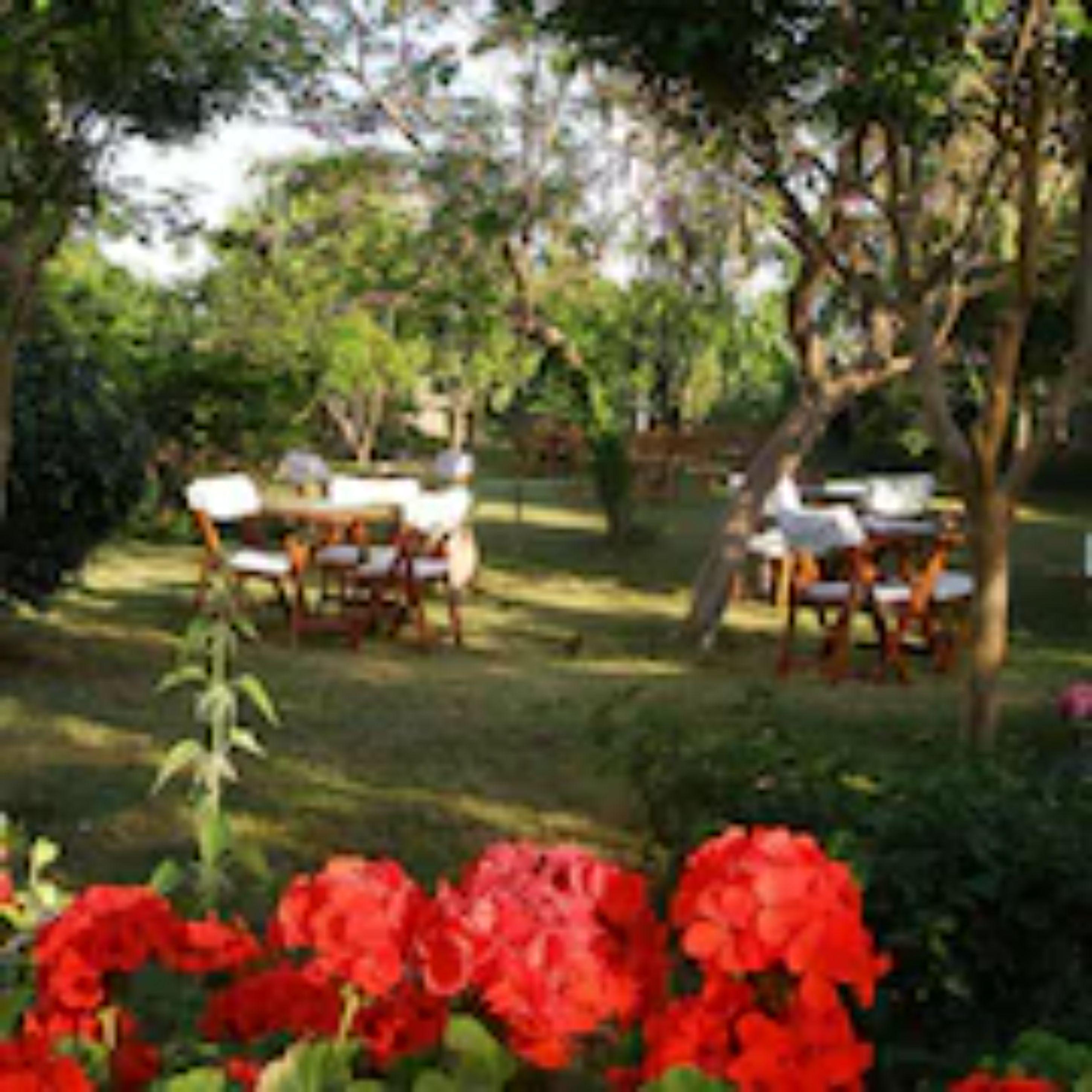Sevkibey Hotel Alanya Eksteriør billede