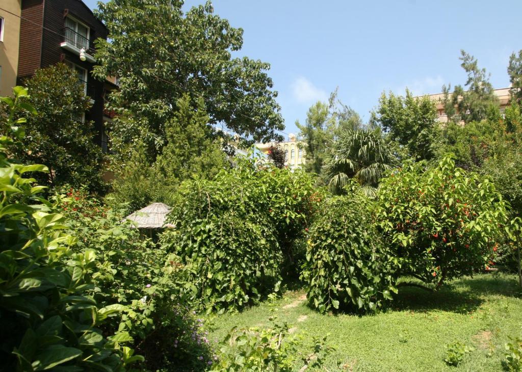 Sevkibey Hotel Alanya Eksteriør billede